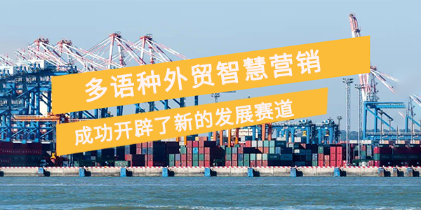 中国外贸的未来，藏在“小语种流量池”里！